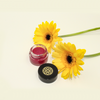 True Moringa Lip Whip in Truth